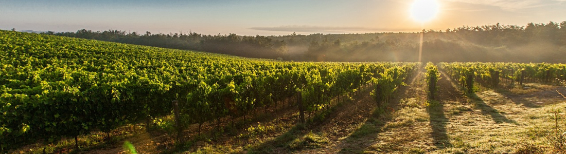 Farming Innovations That Qualify for Tax Credits