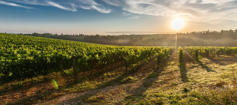 Farming Innovations That Qualify for Tax Credits