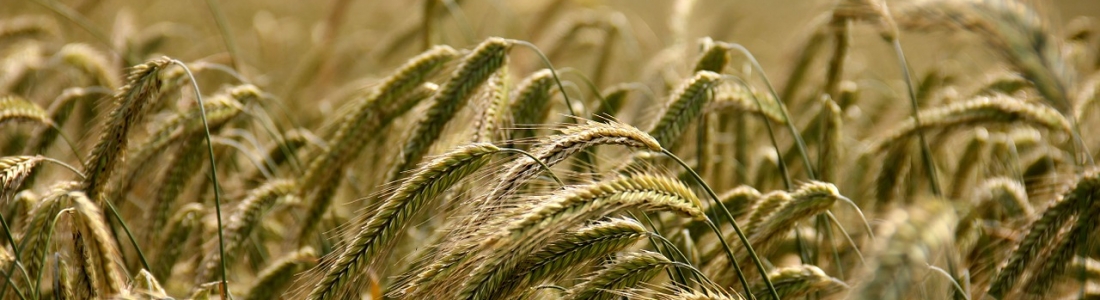 Deductions For Grain Farmers