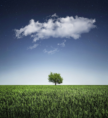 Environmental Startup