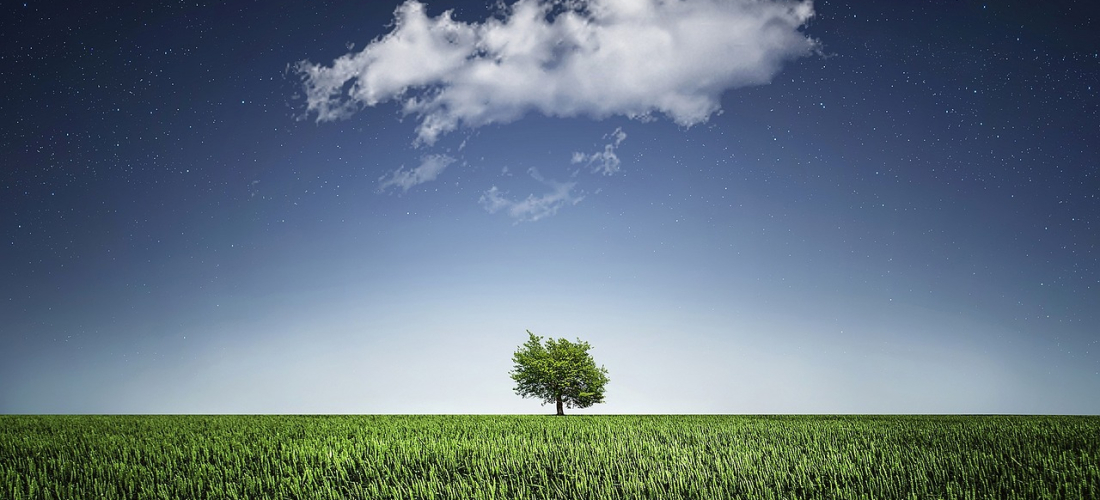 Environmental Startup